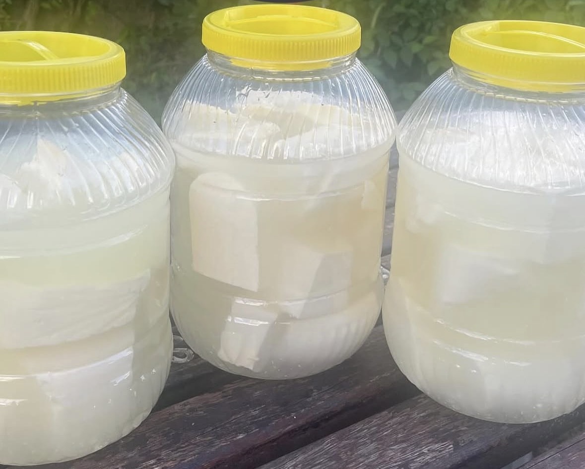 Posolo Besicilik hayvan bakımı